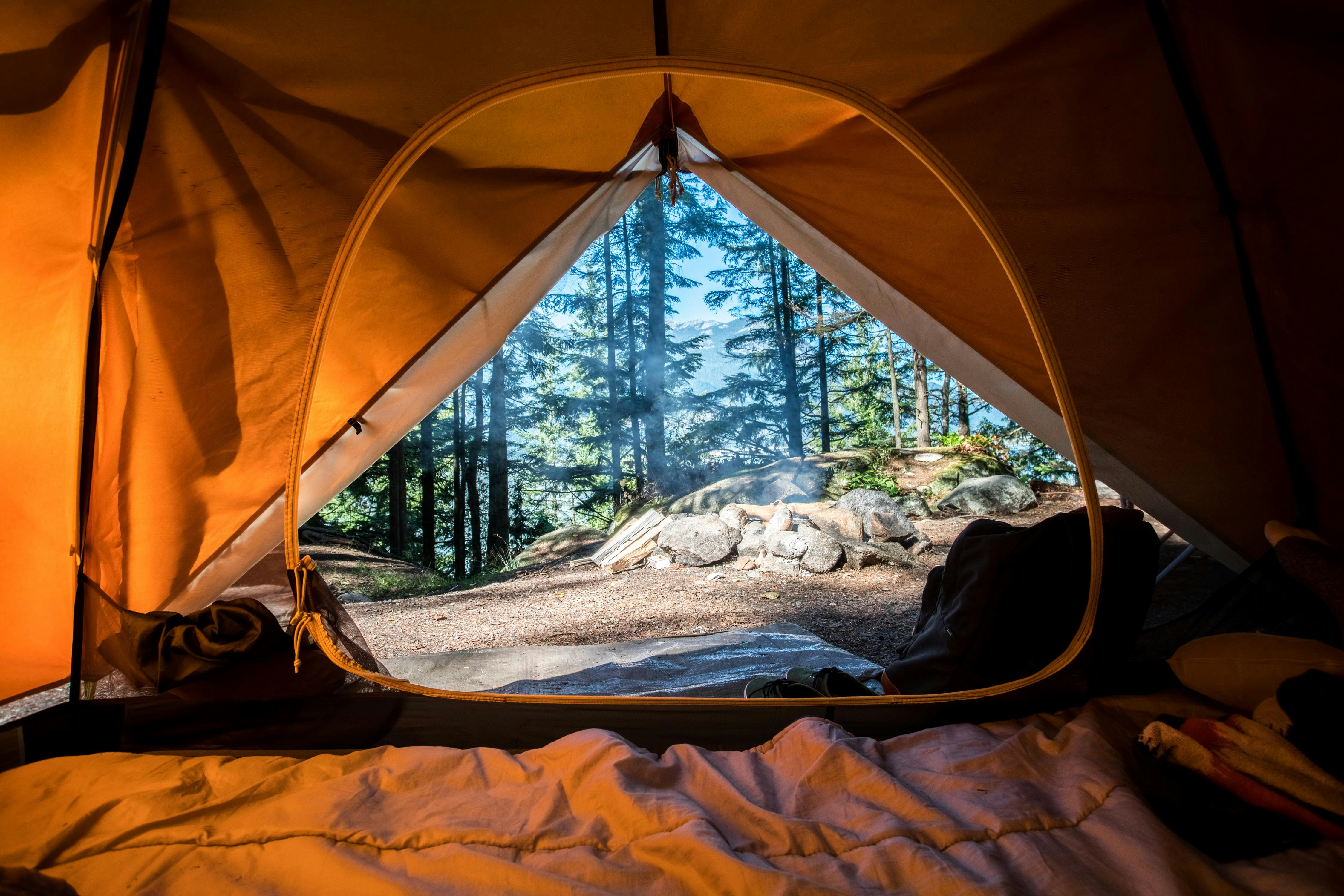 View of forrested area from inside of a tent.